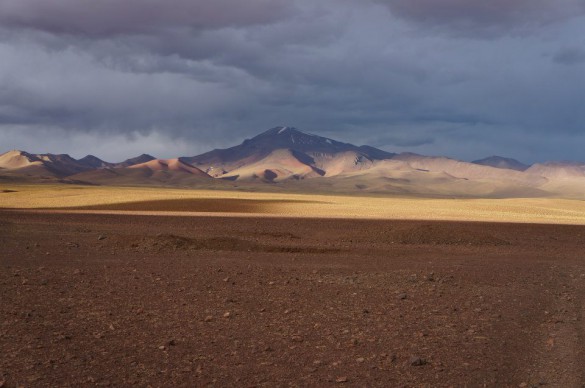 L'Altiplano Bolivien